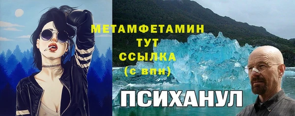 трава Надым