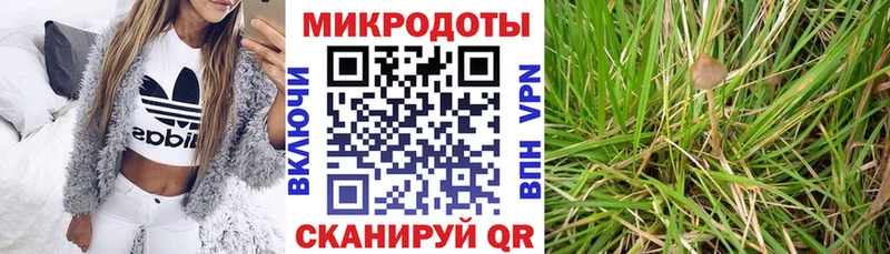 Купить где  Ливны  Псилоцибиновые грибы Psilocybine cubensis 